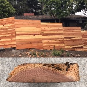 Lower-quality redwood sapwood fence boards showing the difference between sapwood and All Heart Redwood Fencing