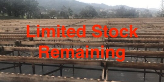 Shop Clear All Heart Reclaimed Redwood