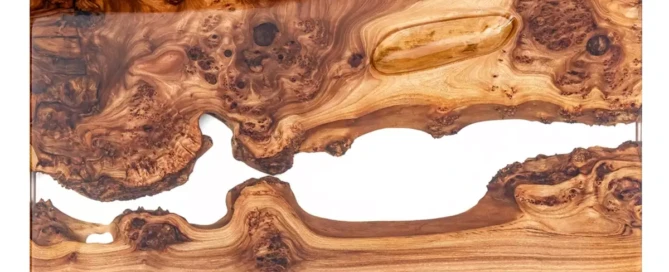 Two live edge elm slabs facing each other.