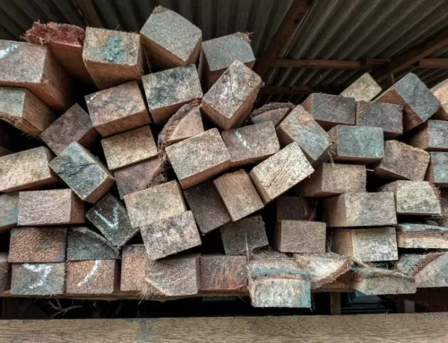 Wood with a Story: Reclaimed Lumber from the Old Bay Bridge