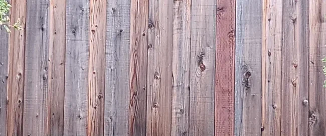 A beautiful aged redwood fence.